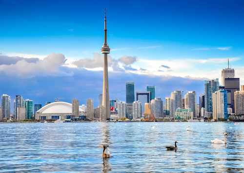 Toronto Real Estate - Alex Alexandrov, Sales Representative